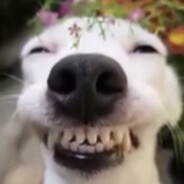 Буся, ко мне