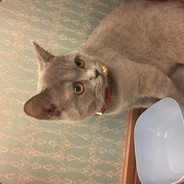 山水集团学外语