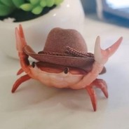 Crabman's Avatar