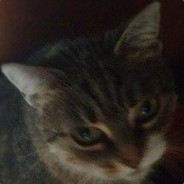 HAHAHAHAHAHAHAHAHAHAHAHAHAHA