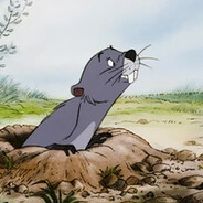 ✪Gopher
