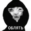 Лысый кустик