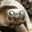 bobtarantulu