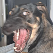 Masturbinho
