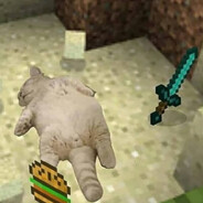 xp