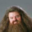 Rubeus Hagrid