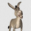 IM (THE) DONKEY