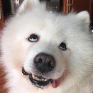 子不语