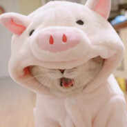 八旬老太扶墙上厕所