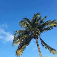 相册里的她好看吗