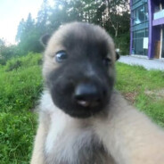 阳光花园小老弟