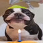 imtheace