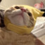 catyam