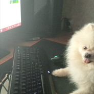 www.twitch.tv/snowydogtf2