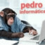 Pedro Informatica