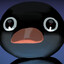 Nootnoot