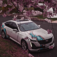 失去终究是遗憾~