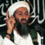 osama bin laden