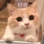 ikun