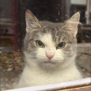 Baby Jax - steam id 76561199556922862