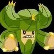 狮子座的小外壳