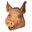 frozenpig1337