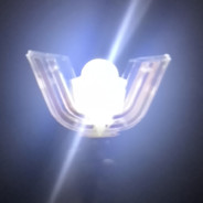 头发如熊猫般稀少