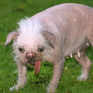 localbearkiller - steam id 76561198782180006