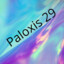 Palox1s29