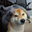 Woxᵒᶰᵉ