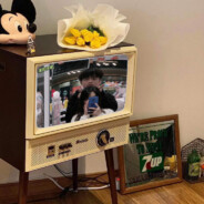 谁tm偷我的小电啊