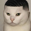 nigabian
