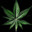 bandeiramata420