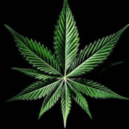 bandeiramata420