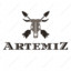 ArtemiZ