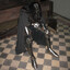 Live in Anor Londo