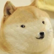 CUTE_DOGE
