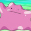 ♥ Ditto ♥