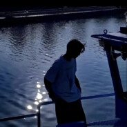 物是人非事事休