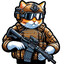 Tactical Kitty