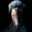 Shoebillgaming