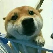 队友白给至今没钱