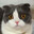 cate