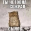 чинарик