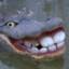 Will The Gator