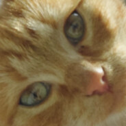 cekson avatar
