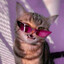 ♡МяуМяу♡'s avatar