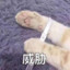 灰色纸飞机