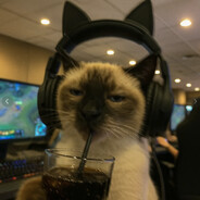 粉猪的坐垫大王