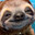 sloth